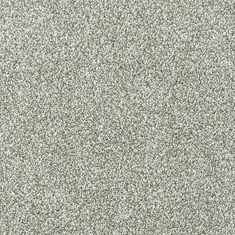 Abingdon Stainfree Grande In Pearl Grey Carpet
