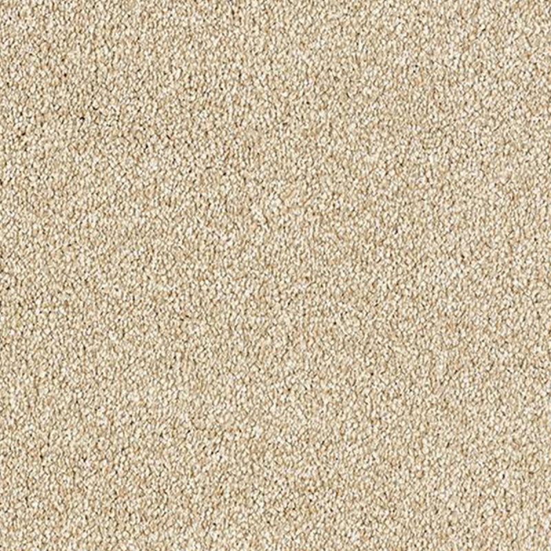Abingdon Stainfree Grande In Sandstone Carpet
