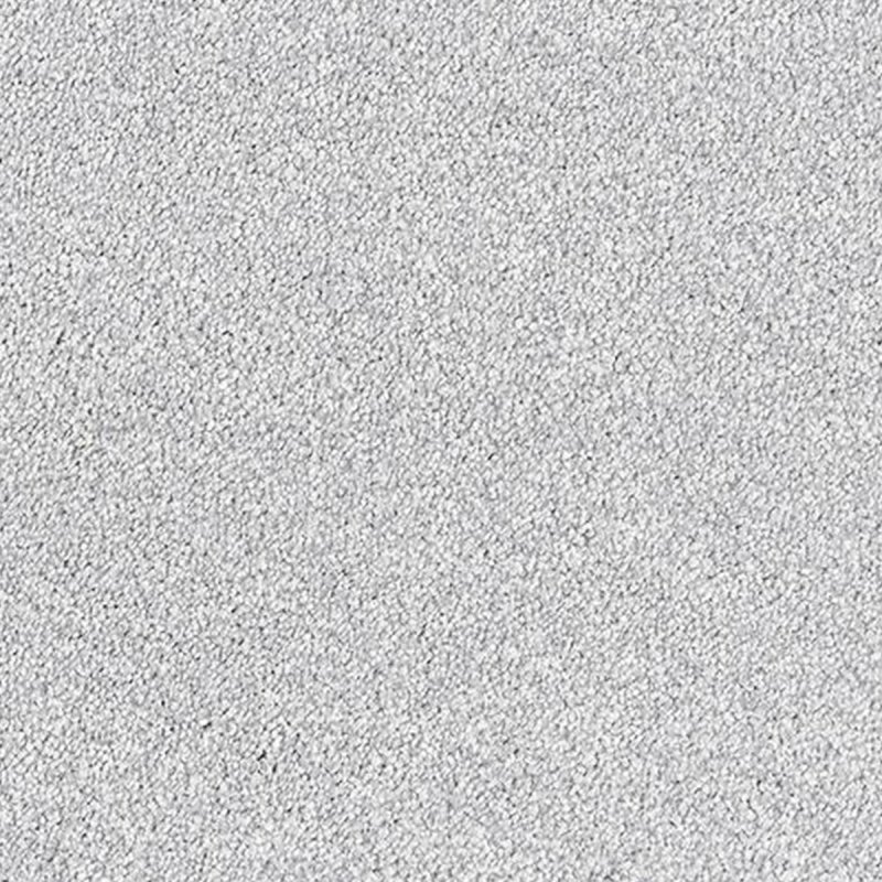 Abingdon Stainfree Grande In Titanium Carpet