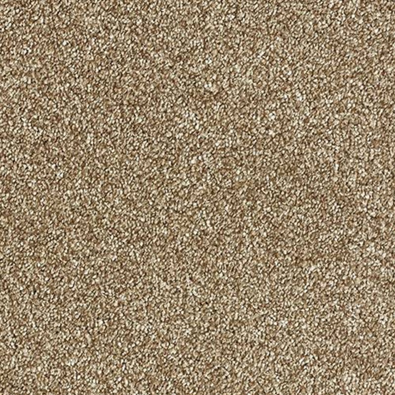 Abingdon Stainfree Grande In Truffle Carpet