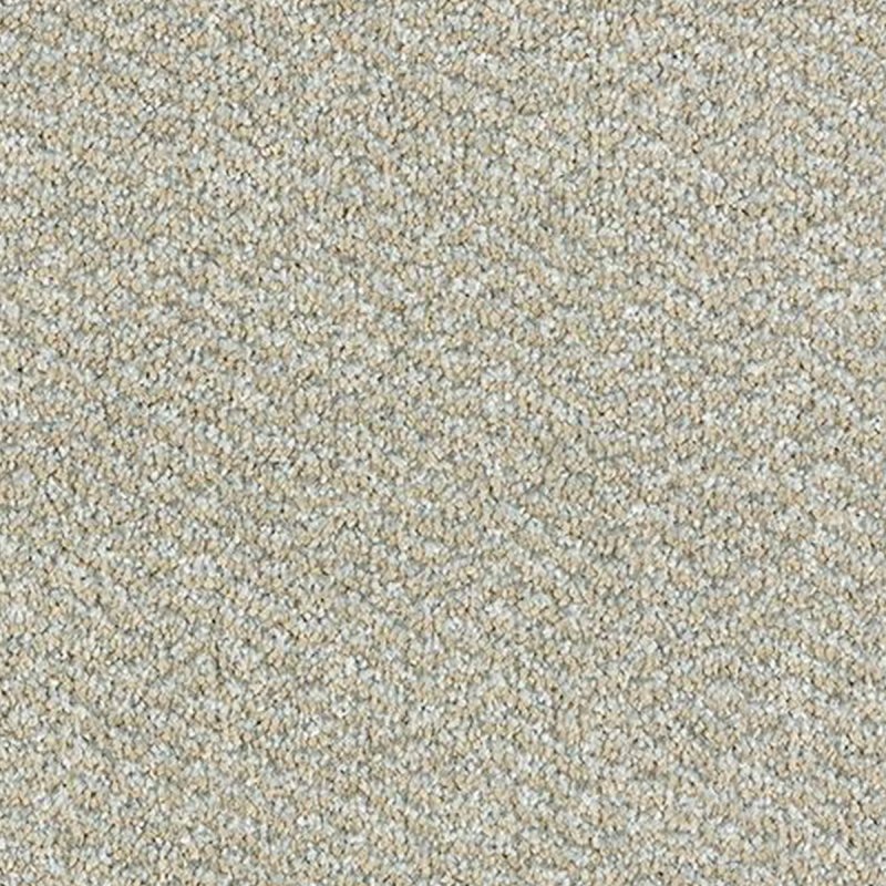 Abingdon Stainfree Tweed In Arctic Fox Carpet
