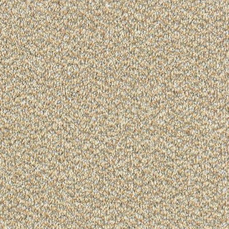 Abingdon Stainfree Tweed In Cool Beige Carpet
