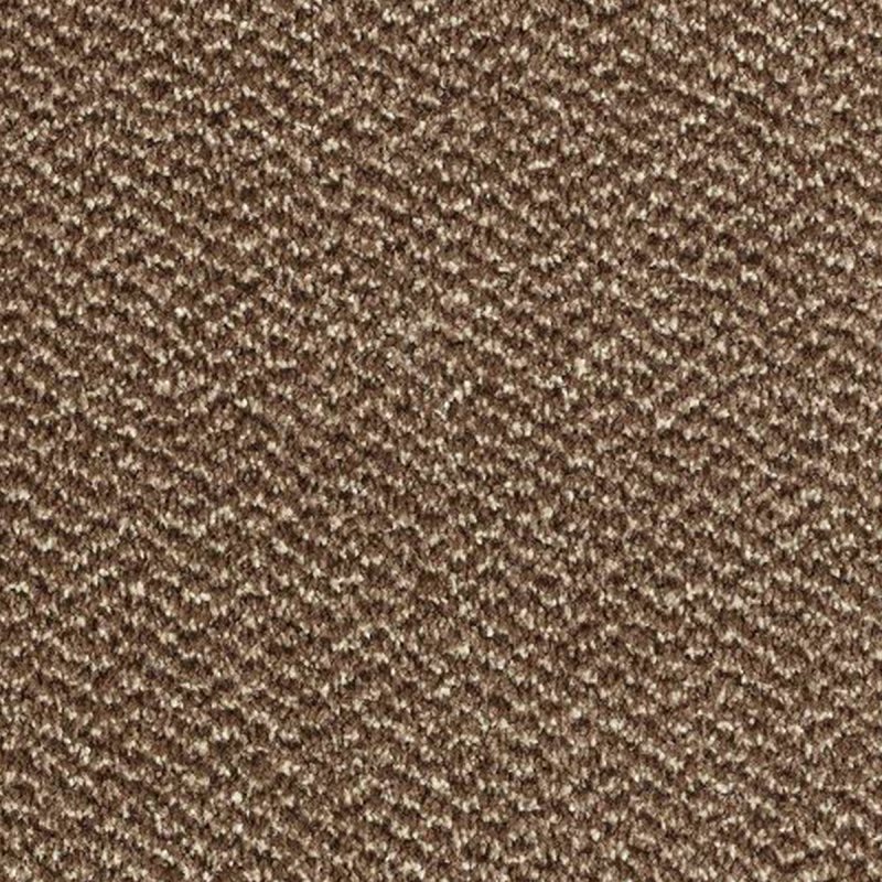 Abingdon Stainfree Tweed In Espresso Carpet