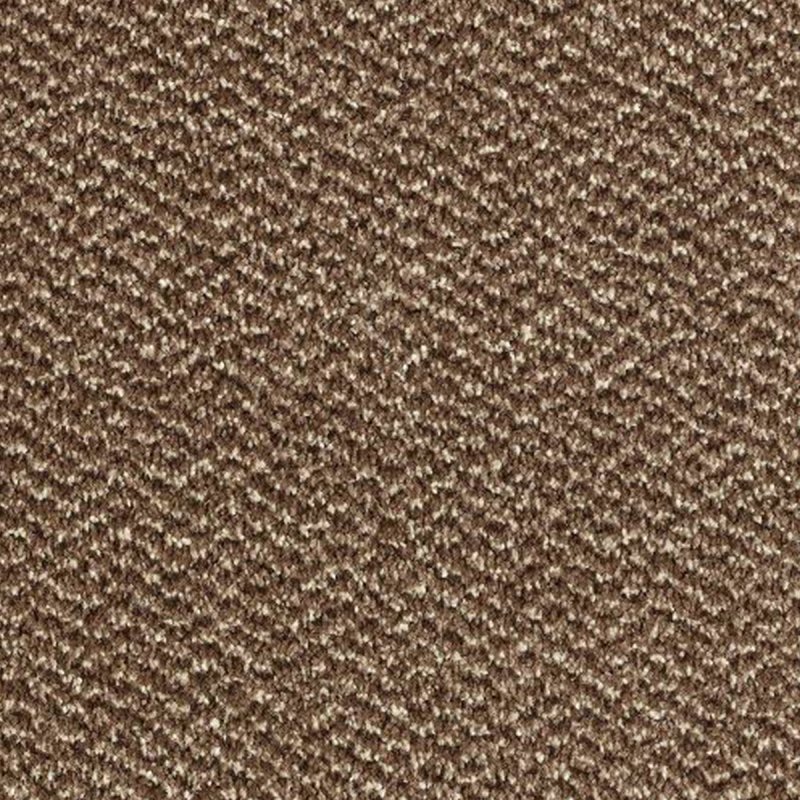 Abingdon Stainfree Tweed In Espresso Carpet