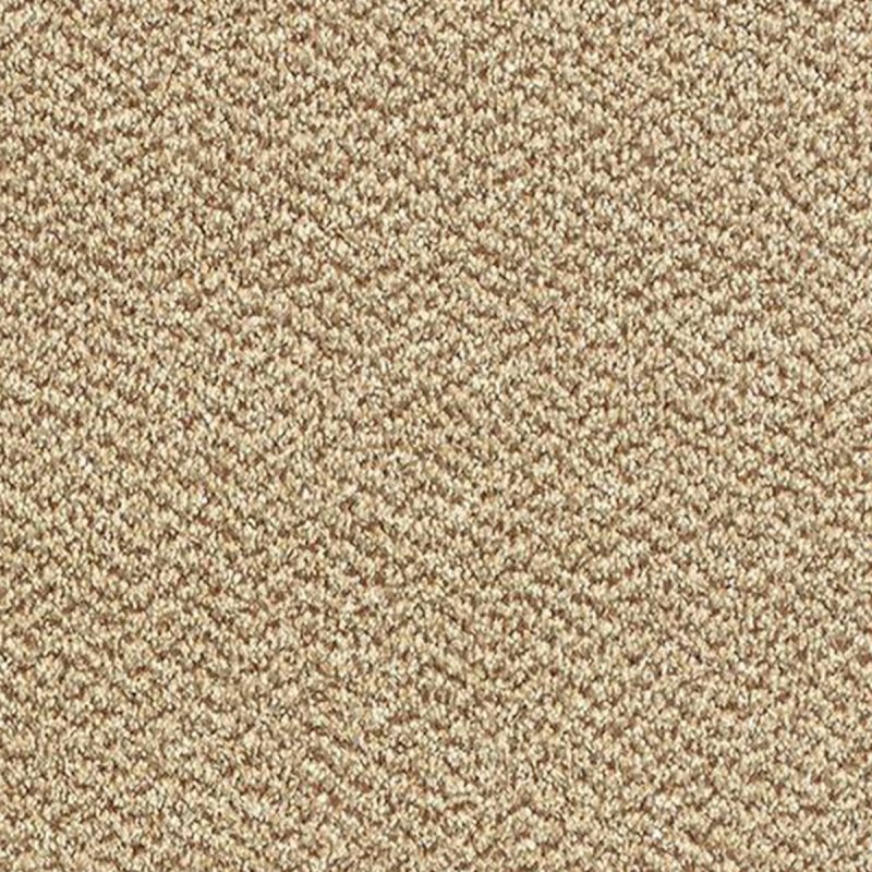 Abingdon Stainfree Tweed In Harvest Carpet