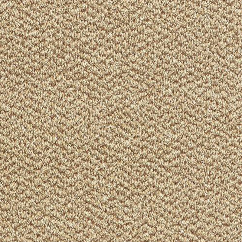 Abingdon Stainfree Tweed In Harvest Carpet