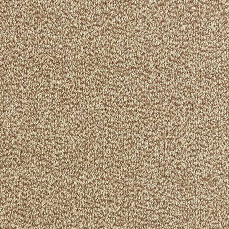 Abingdon Stainfree Tweed In Moleskin Carpet