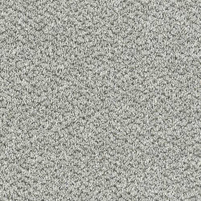 Abingdon Stainfree Tweed In Silver Shadow Carpet