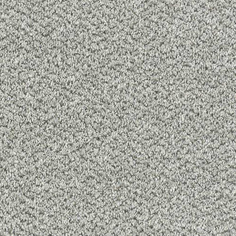 Abingdon Stainfree Tweed In Silver Shadow Carpet