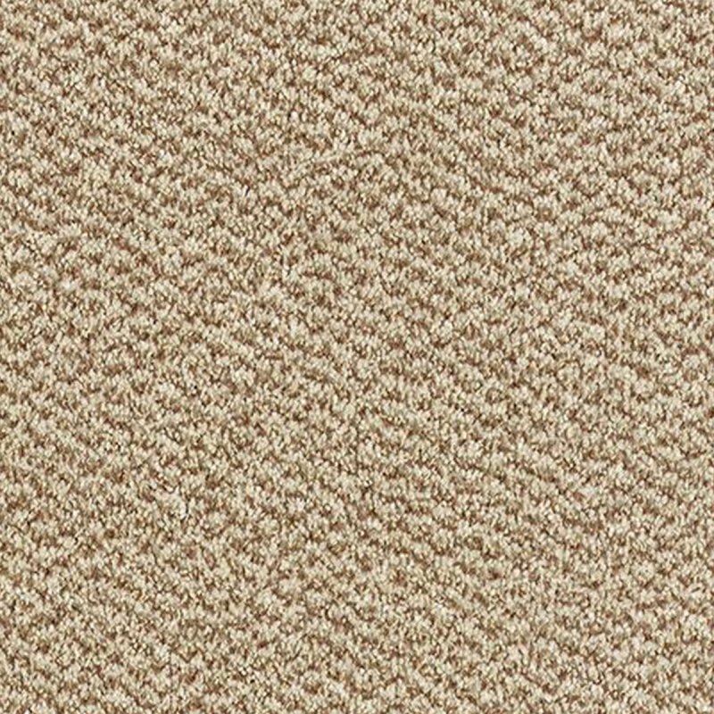 Abingdon Stainfree Tweed In Taupe Carpet