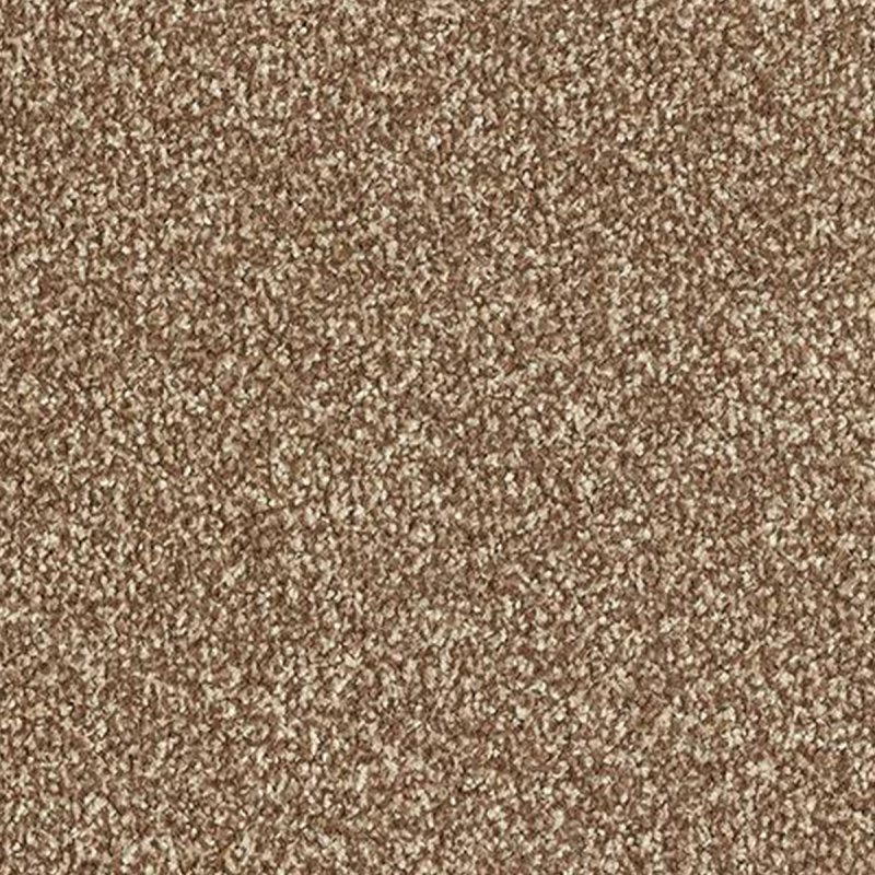 Abingdon Stainfree Twist In Chateau Carpet