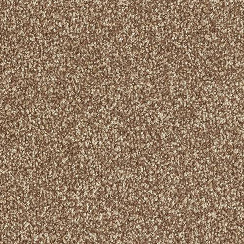 Abingdon Stainfree Twist In Chateau Carpet