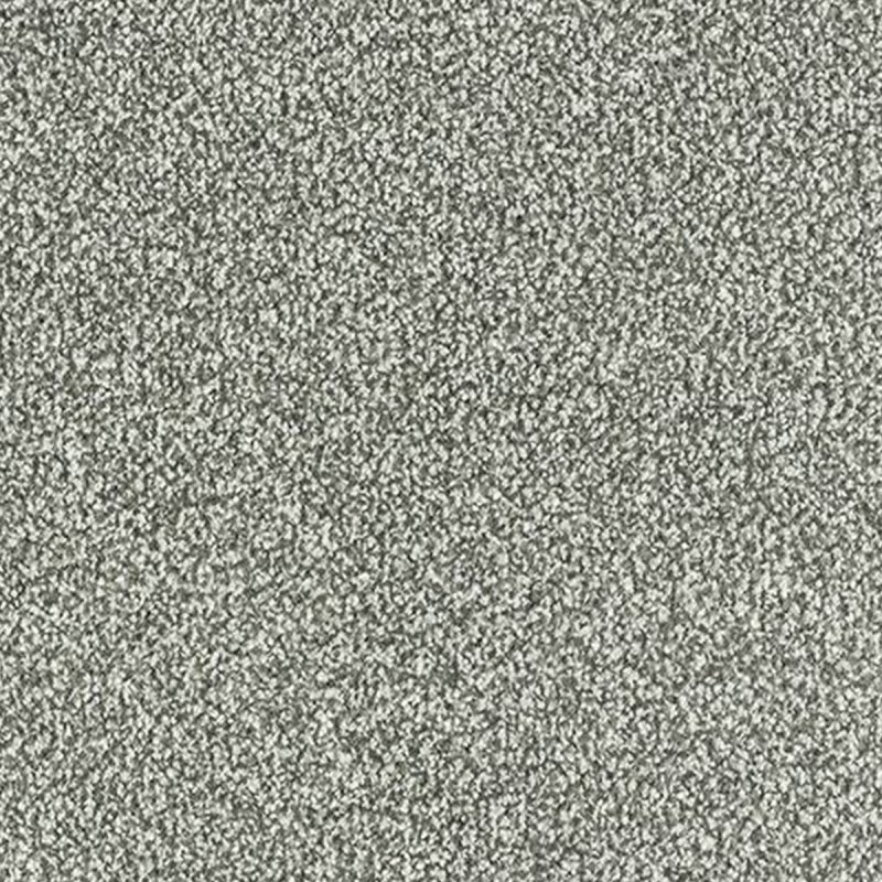 Abingdon Stainfree Twist In French Grey Carpet