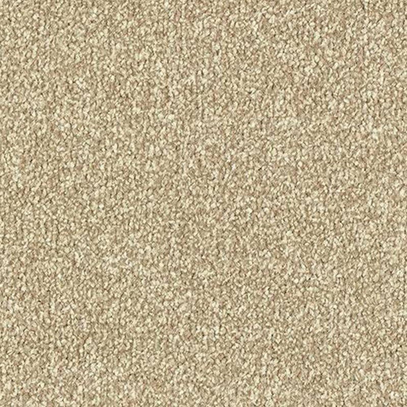 Abingdon Stainfree Twist In Latte Carpet