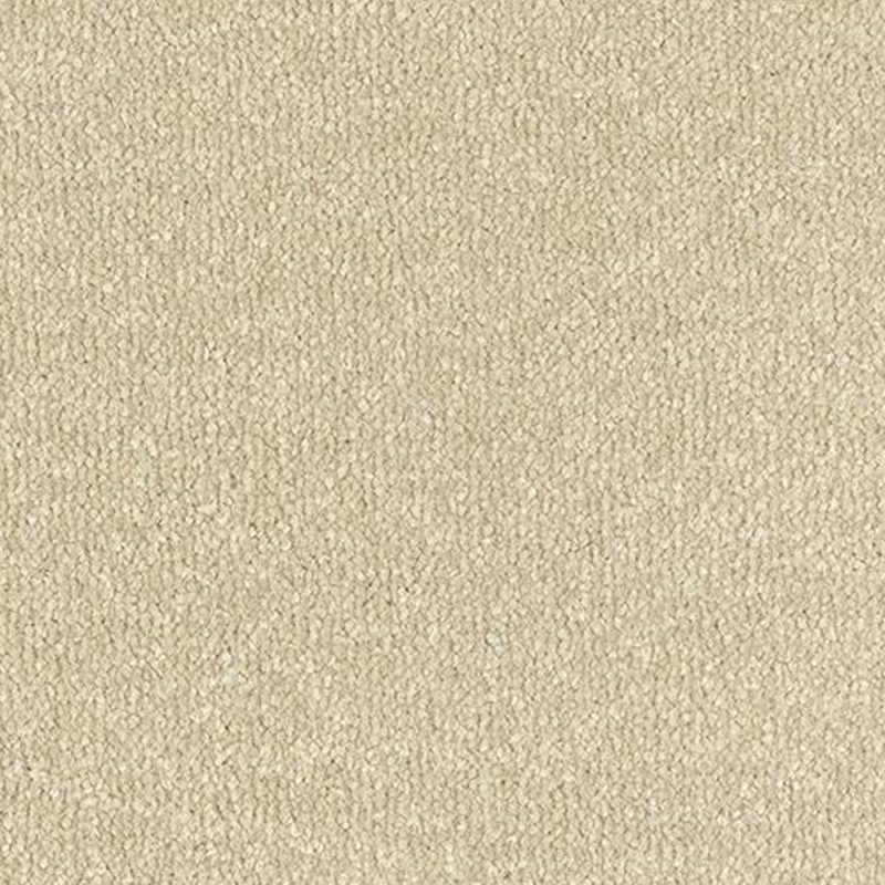 Abingdon Stainfree Twist In Manor House Carpet