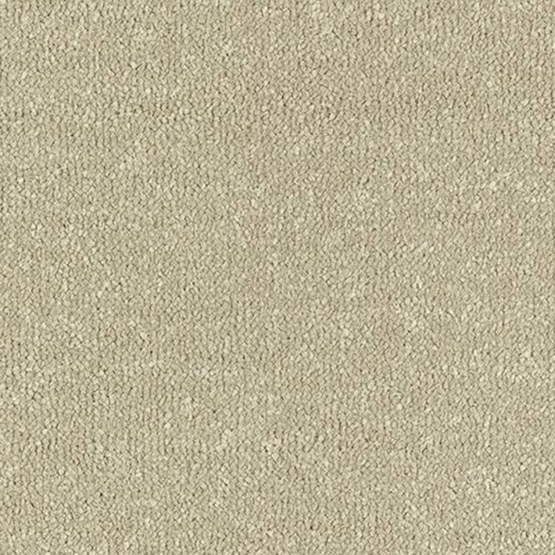 Abingdon Stainfree Twist In Moccasin Carpet