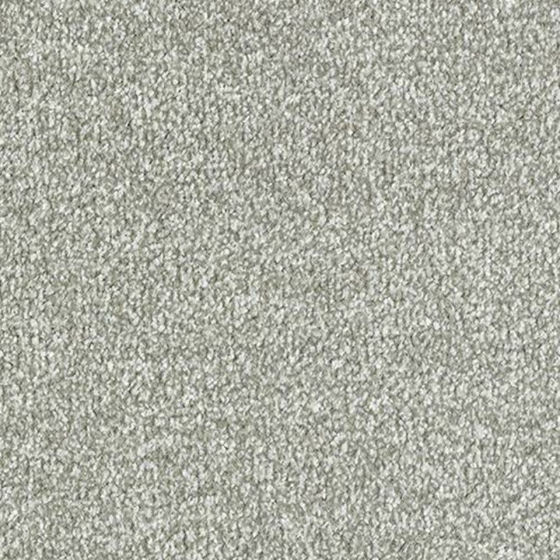 Abingdon Stainfree Twist In Moonwalk Carpet