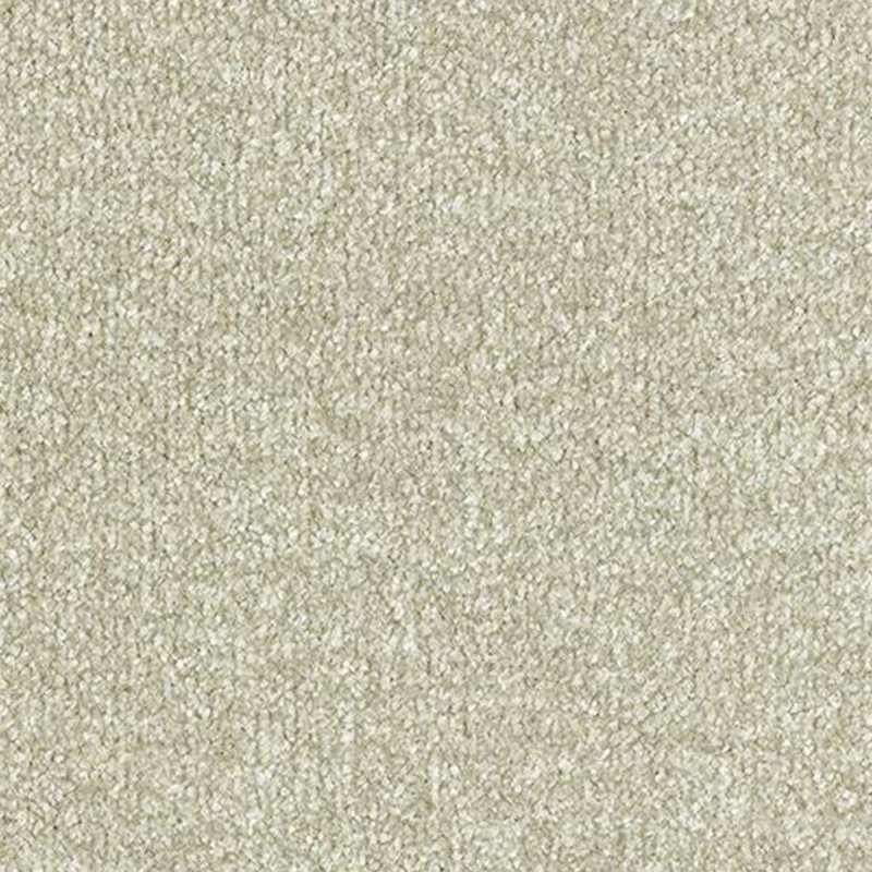 Abingdon Stainfree Twist In Morning Mist Carpet