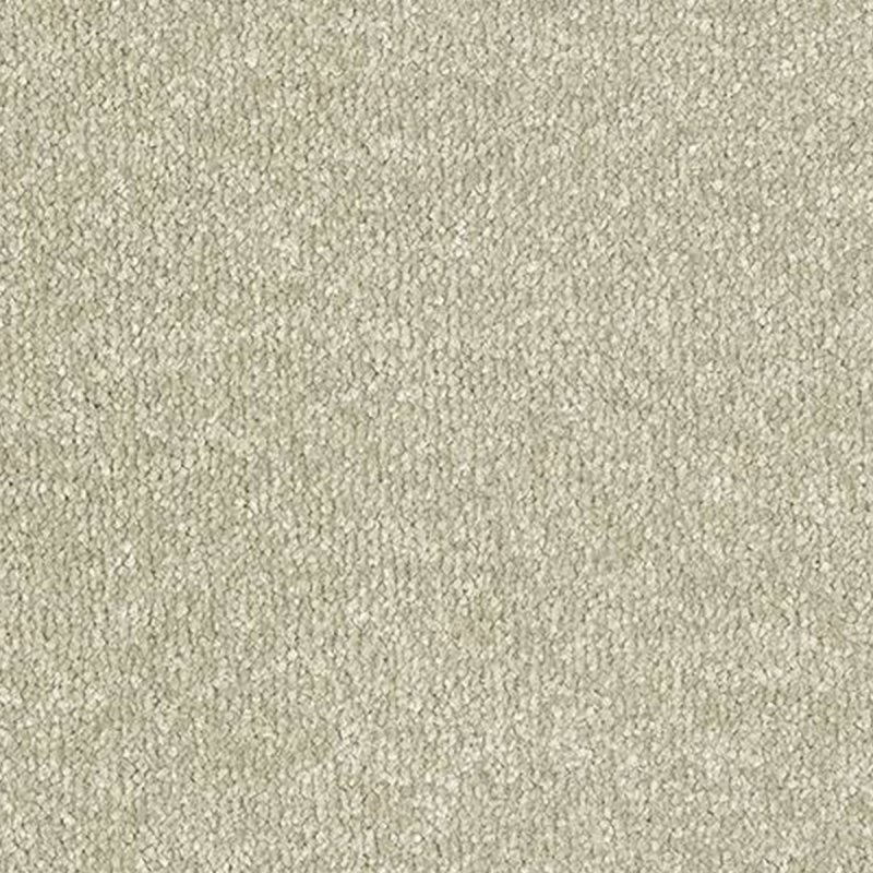 Abingdon Stainfree Twist In Olive Grove Carpet