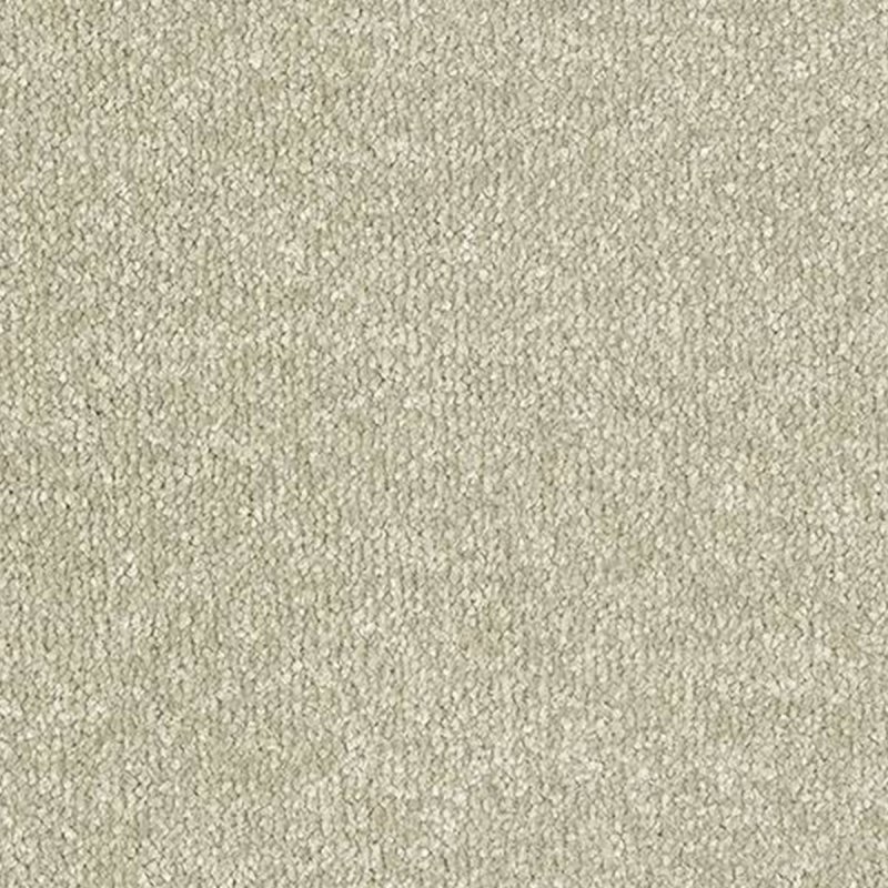 Abingdon Stainfree Twist In Olive Grove Carpet