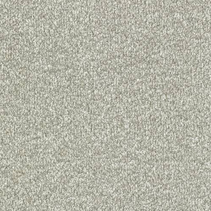 Abingdon Stainfree Twist In Satin Silver Carpet