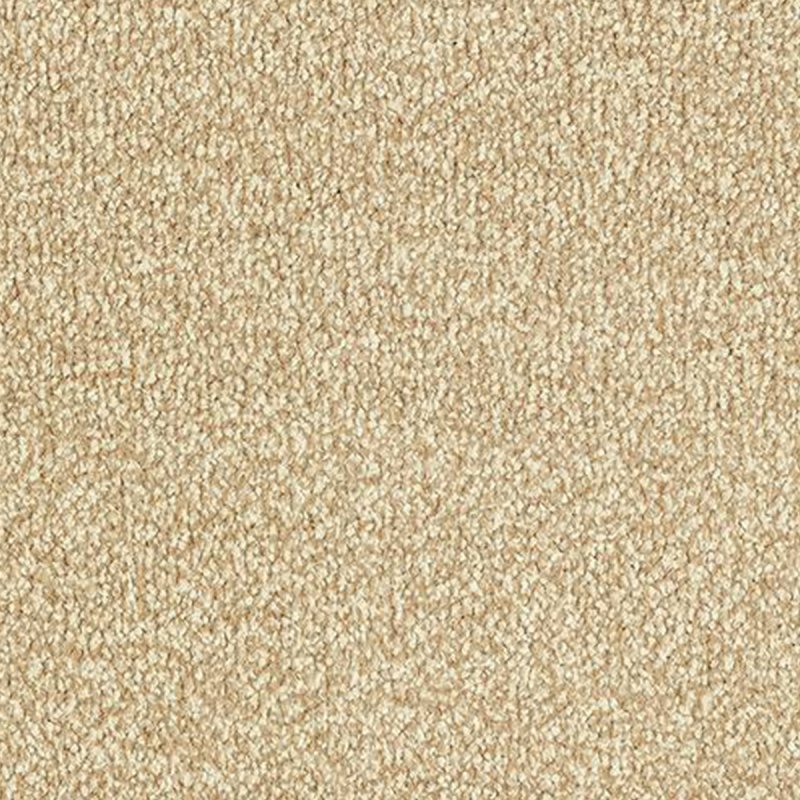 Abingdon Stainfree Twist In Summer Breeze Carpet