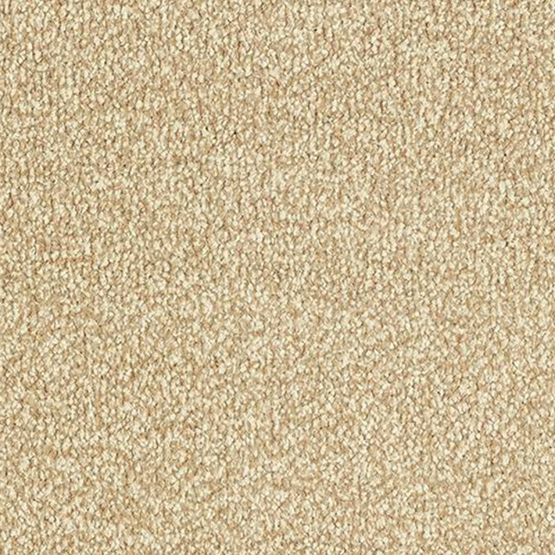 Abingdon Stainfree Twist In Summer Breeze Carpet