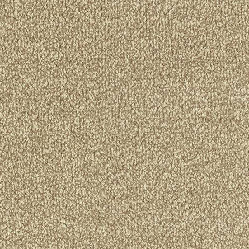 Abingdon Stainfree Ultra In Biscotti Carpet