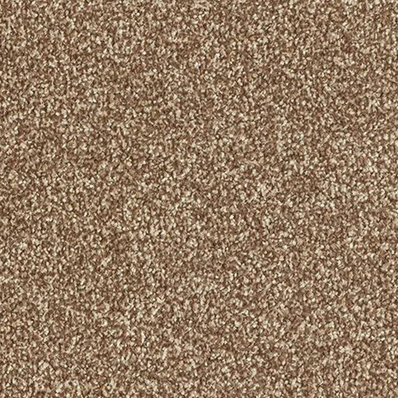 Abingdon Stainfree Ultra In Chateau Carpet