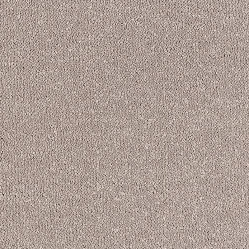 Abingdon Stainfree Ultra In Flamingo Carpet