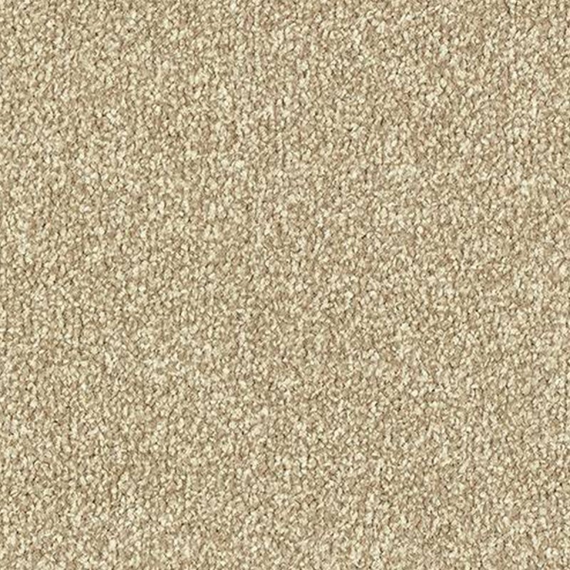 Abingdon Stainfree Ultra In Latte Carpet