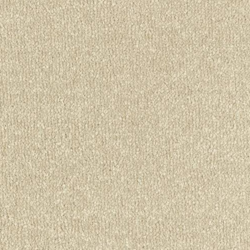 Abingdon Stainfree Ultra In Manor House Carpet