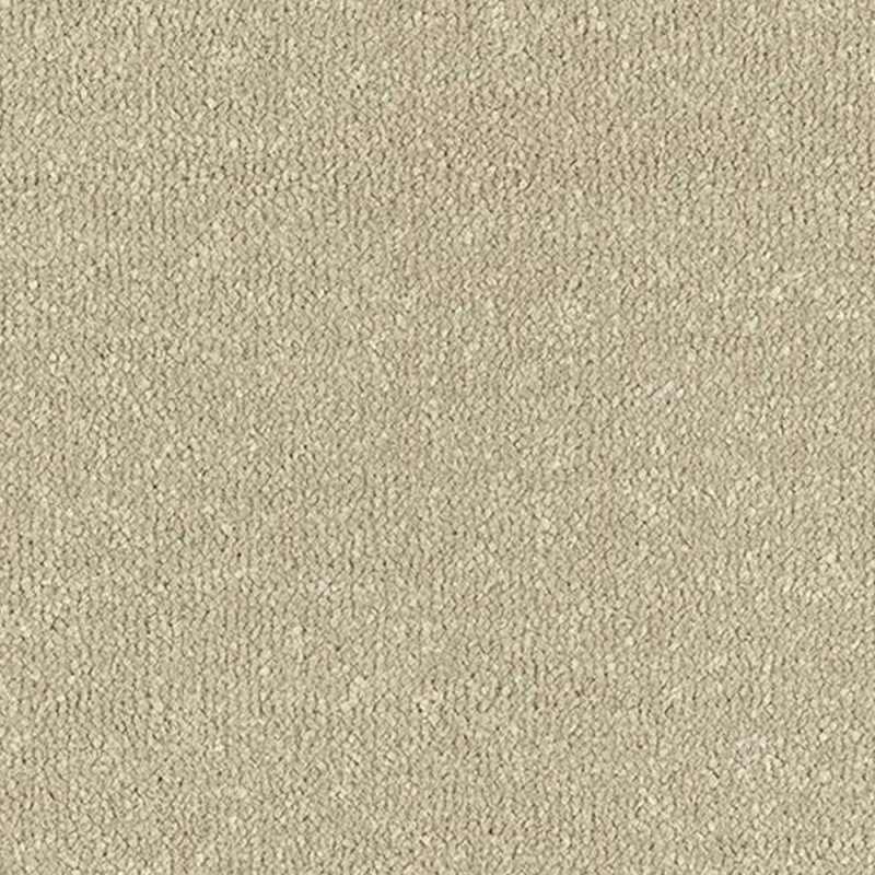 Abingdon Stainfree Ultra In Moccasin Carpet