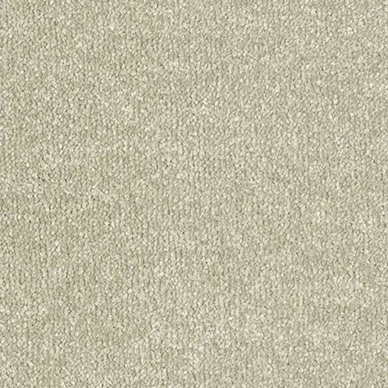 Abingdon Stainfree Ultra In Olive Grove Carpet