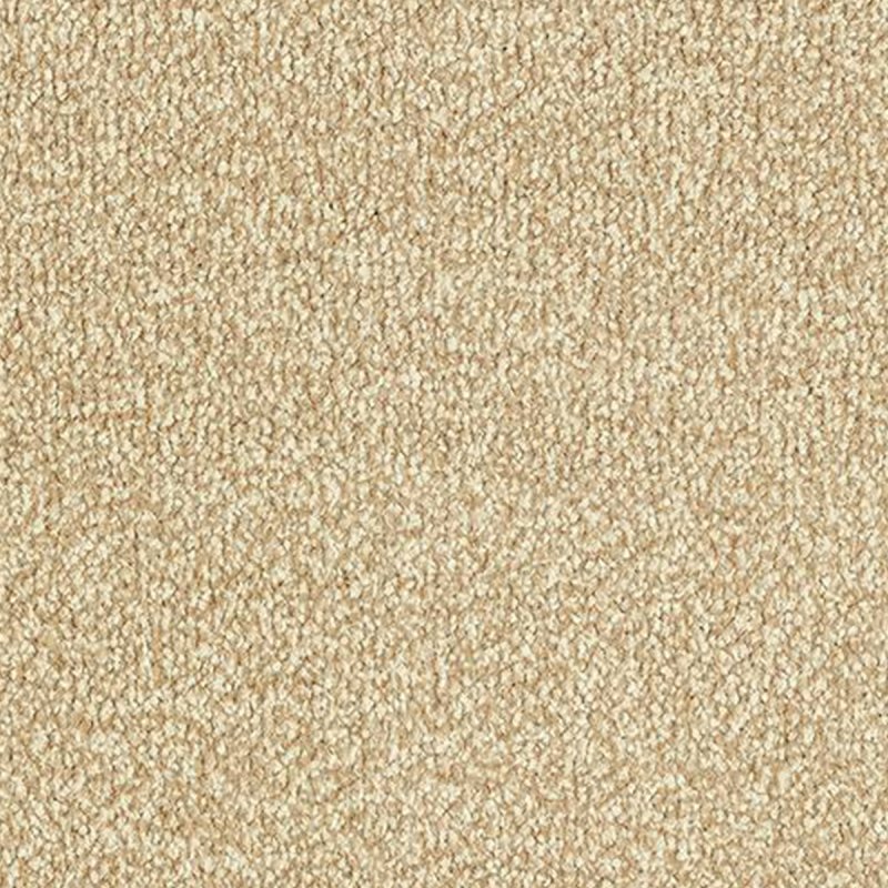 Abingdon Stainfree Ultra In Summer Breeze Carpet