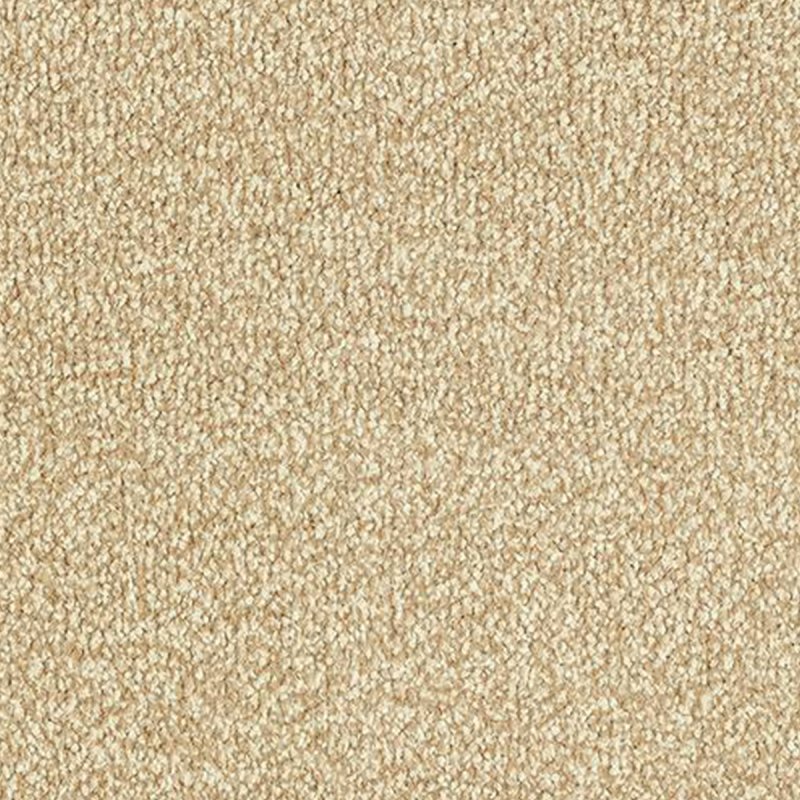 Abingdon Stainfree Ultra In Summer Breeze Carpet