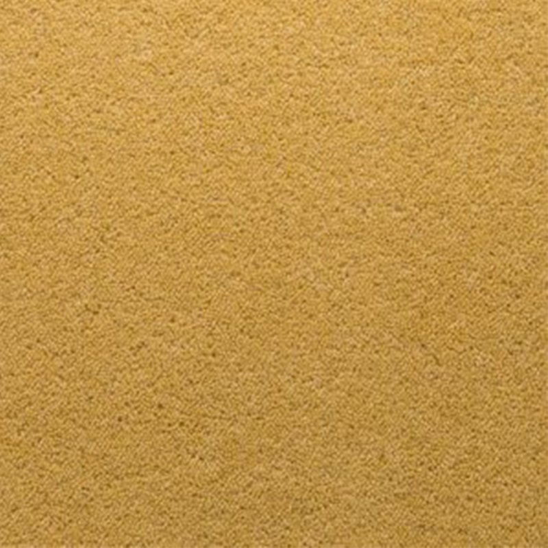 Penthouse Stateside In Hamilton Carpet