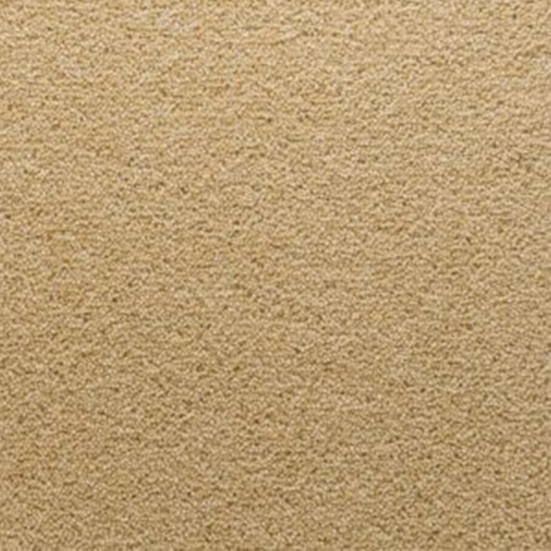 Penthouse Stateside In Jersey Carpet
