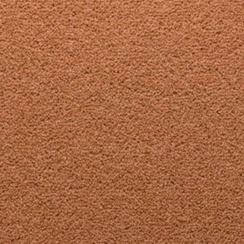 Penthouse Stateside In Sheridan Carpet