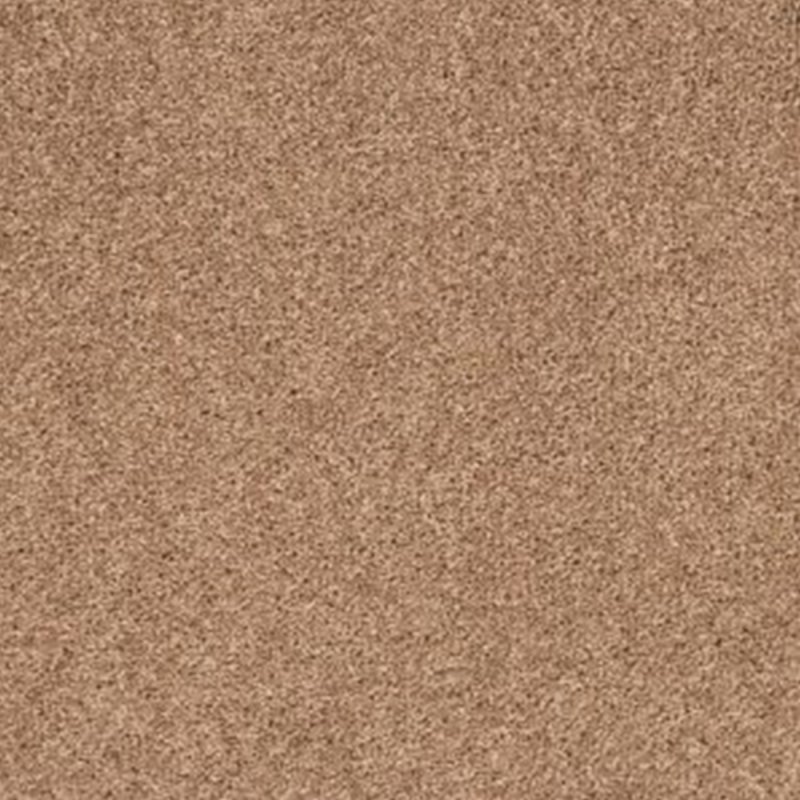 Penthouse Super Maxim In Chanterelle Carpet