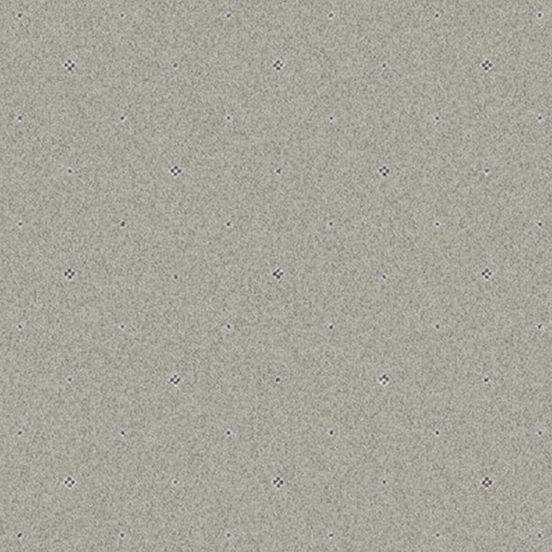 Ulster Tazmin In Pindot Buckram Carpet