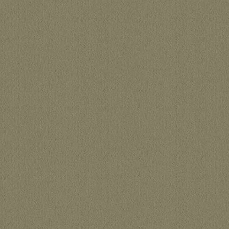 Ulster Ulster Velvet In Aspen Green Carpet