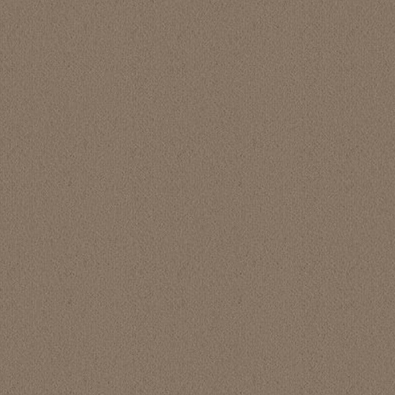 Ulster Ulster Velvet In Canvas Carpet