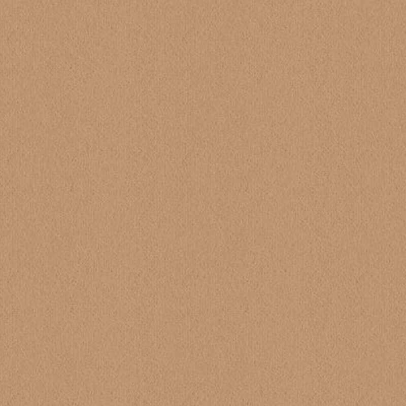 Ulster Ulster Velvet In Champagne Carpet