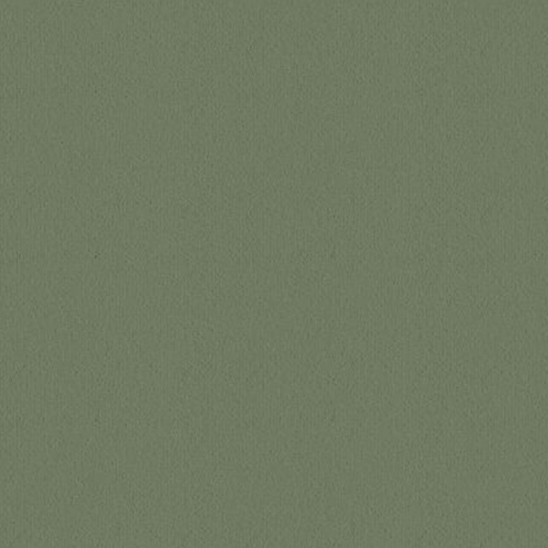 Ulster Ulster Velvet In Jade Carpet