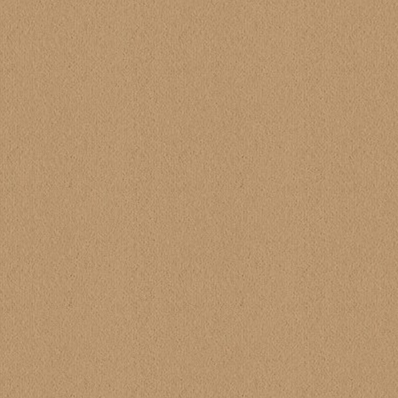 Ulster Ulster Velvet In Straw Carpet