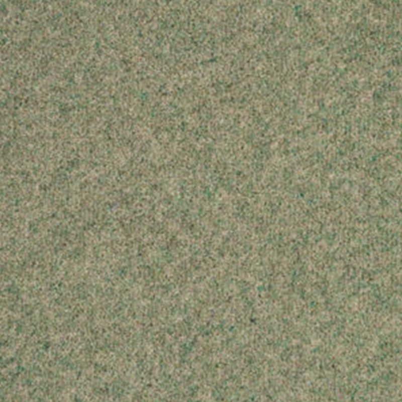 Penthouse Vermont In Greensboro Carpet
