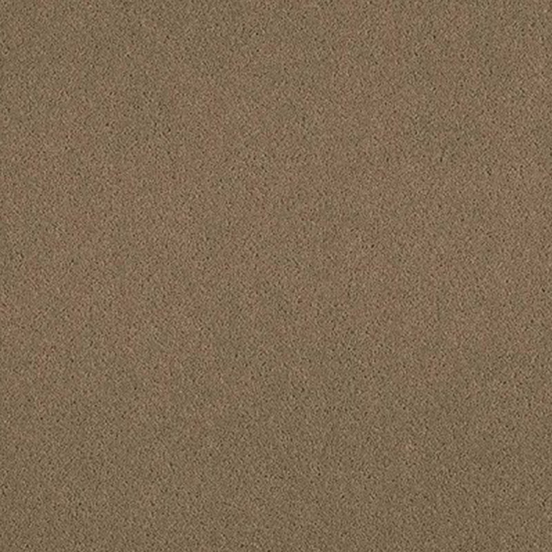 Ulster York Wilton In Granola Carpet