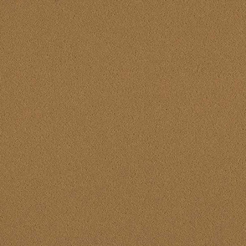 Ulster York Wilton In Safari Carpet