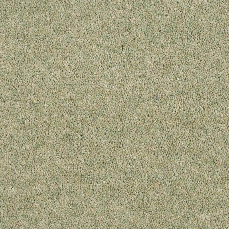 Norfolk & Co. Carpets Aldiss Tradition Twist in Alpine Meadow Carpet
